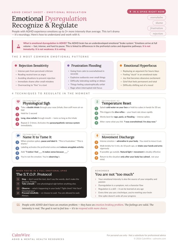 Emotional Dysregulation Guide cover